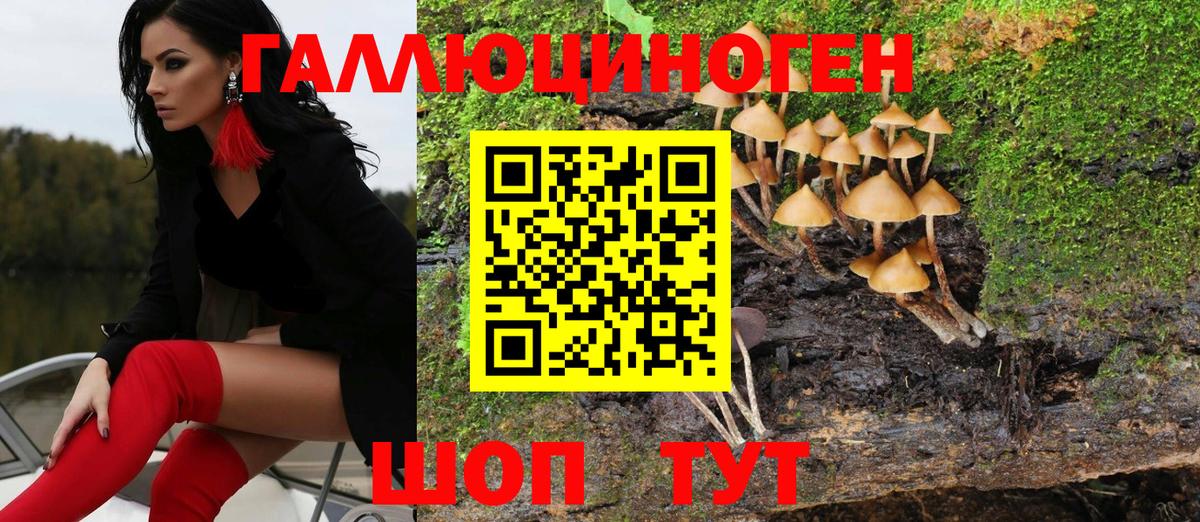 Псилоцибиновые грибы мицелий Новоалтайск
