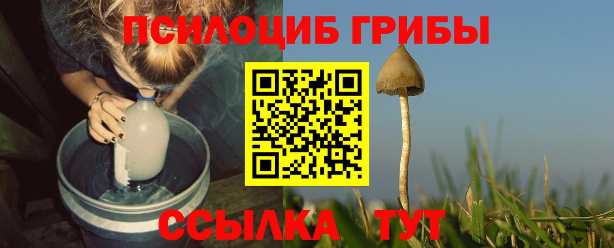 Новоалтайск  Галлюциногенные грибы Magic Shrooms  где можно купить наркотик  Вход с VPN 